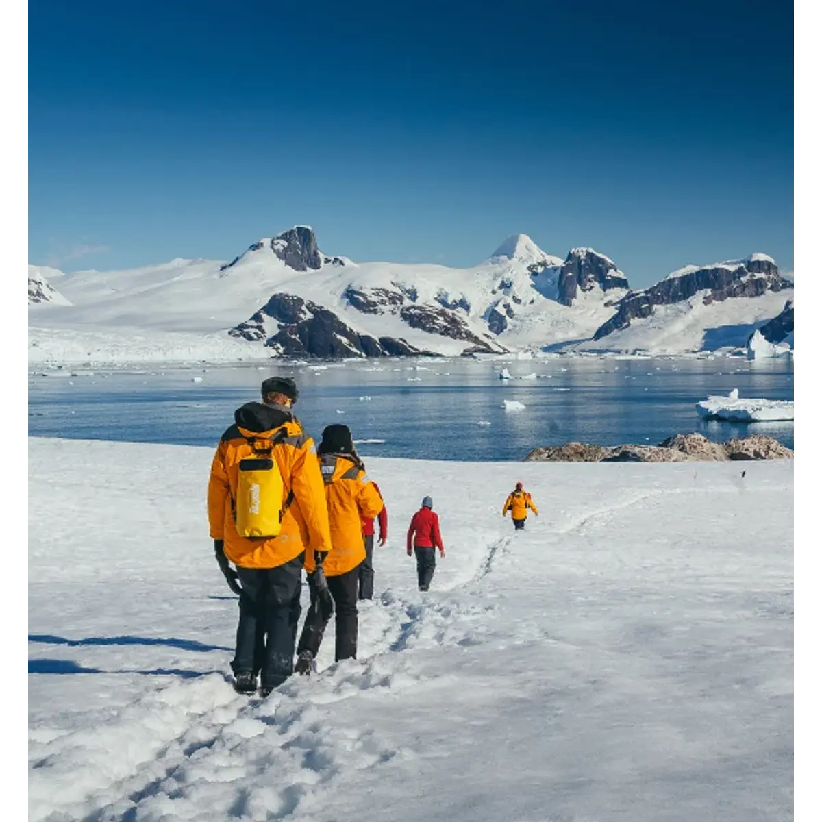Travel Programs