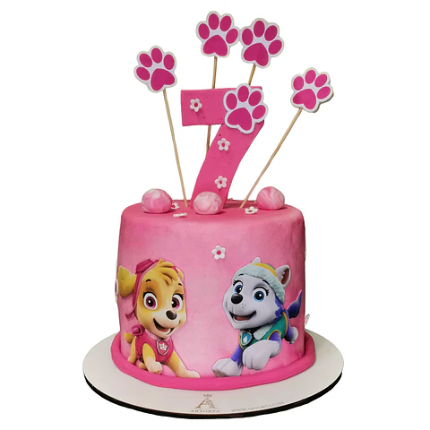 Paw Patrol Skye Everest