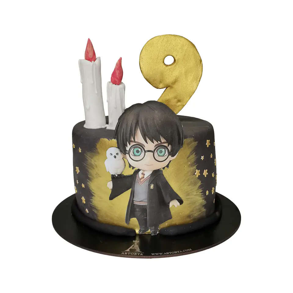Harry Potter 1