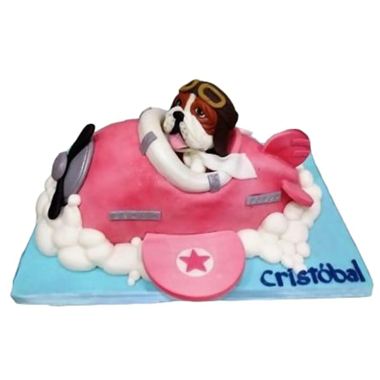 Perro aviador 1