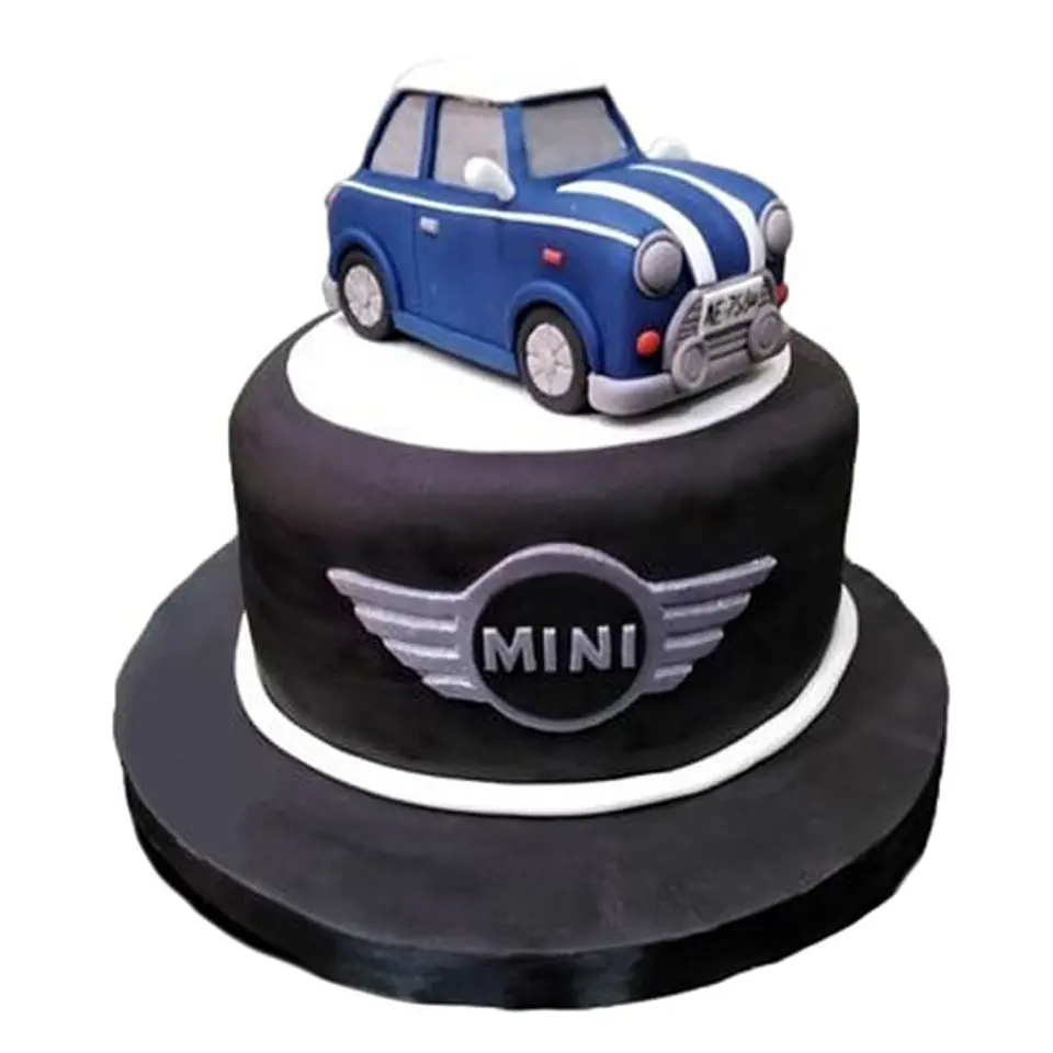 Mini 1