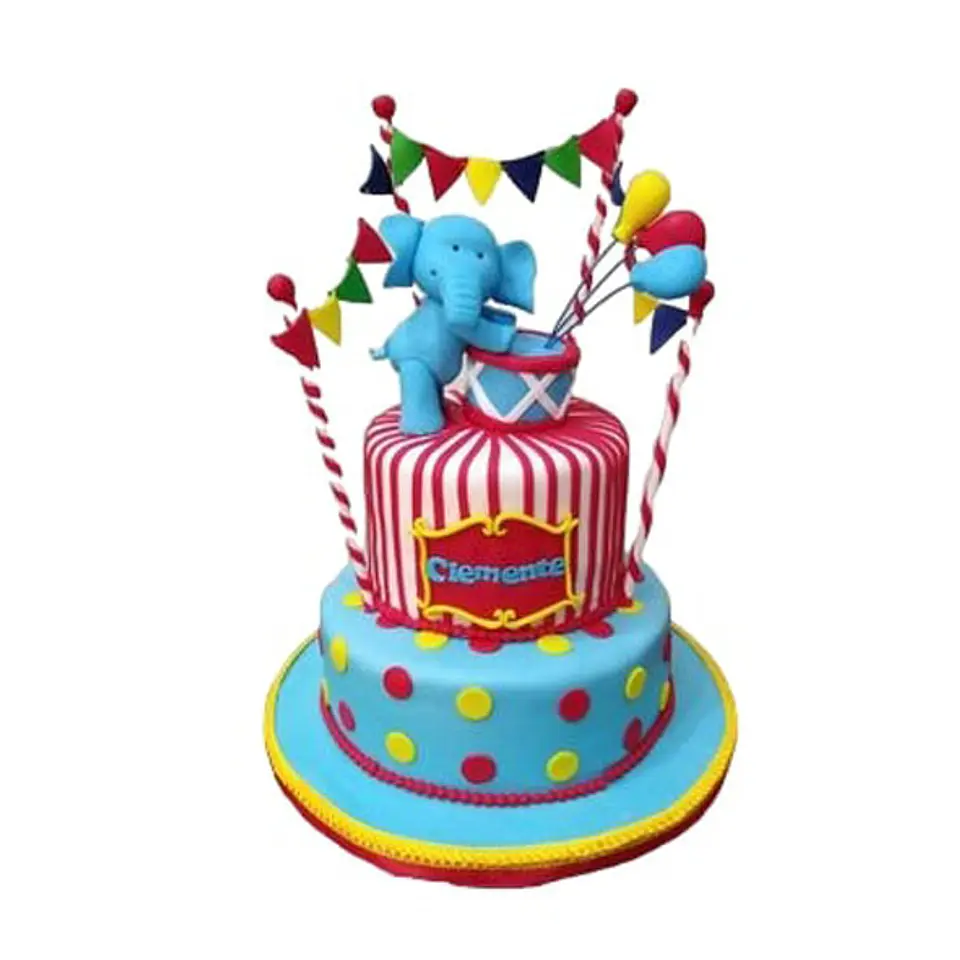 Elefante de circo 1