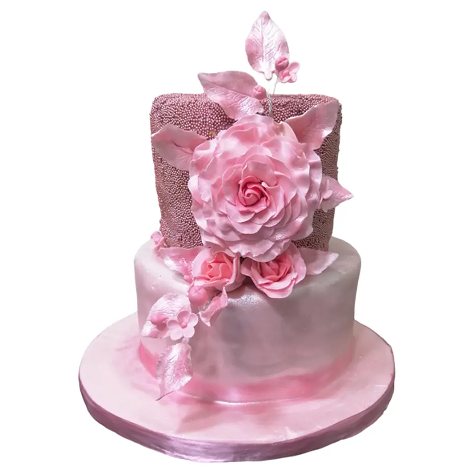 Rosa 1