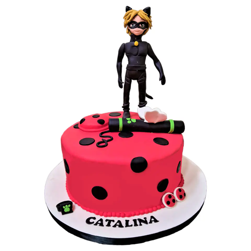 Cat Noir Ladybug 1