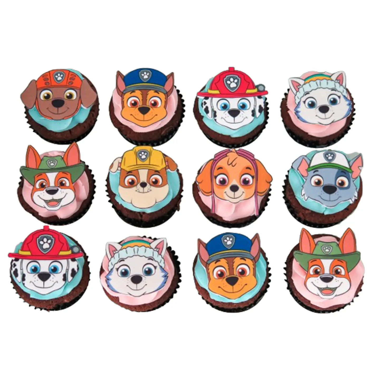 Paw Patrol 1