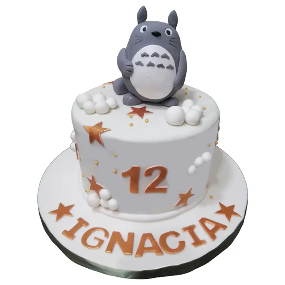 Totoro 1