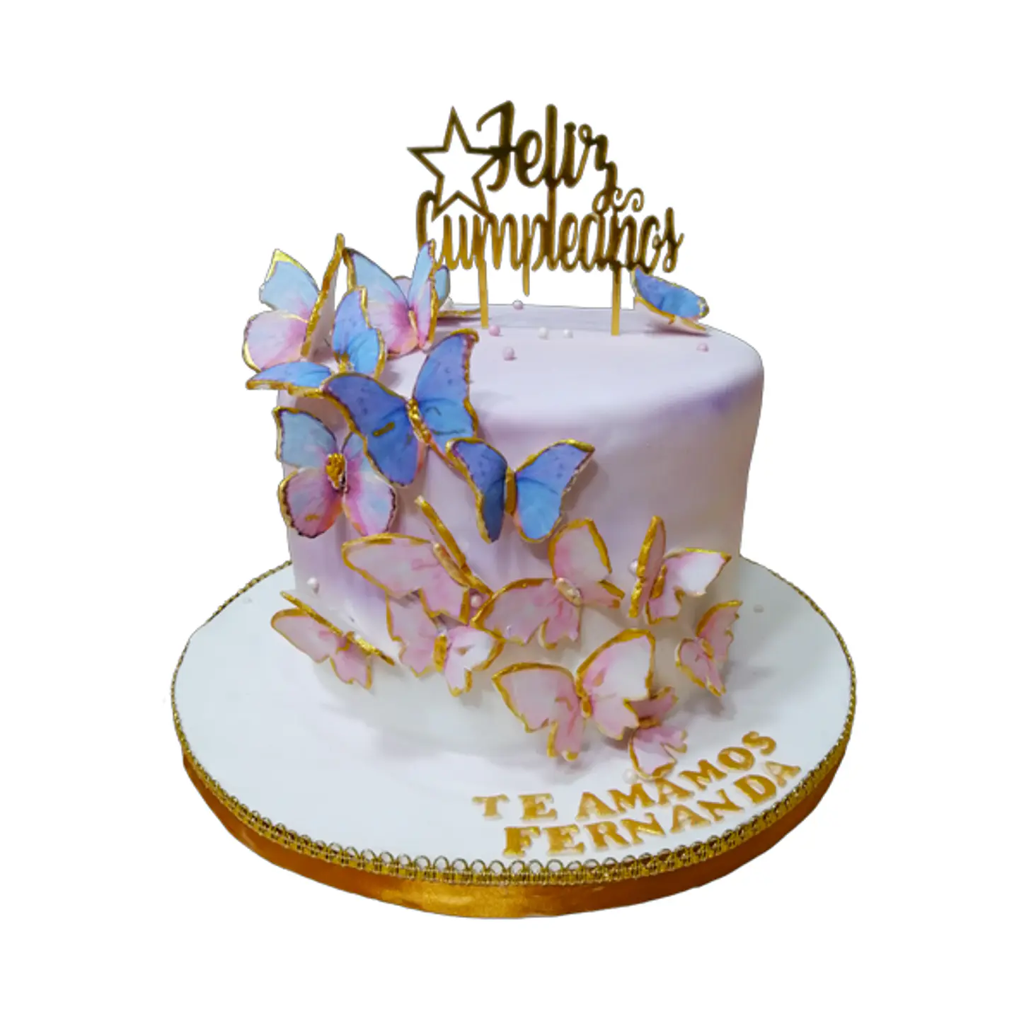 Mariposas 1