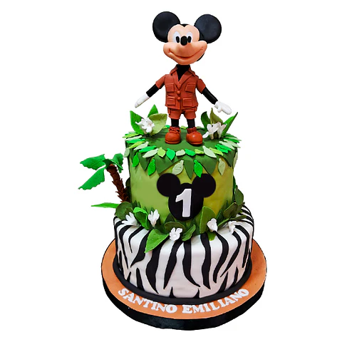 Mickey Safari