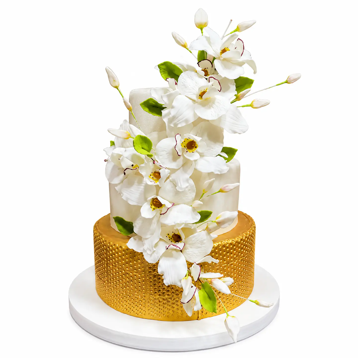 Anisa 1