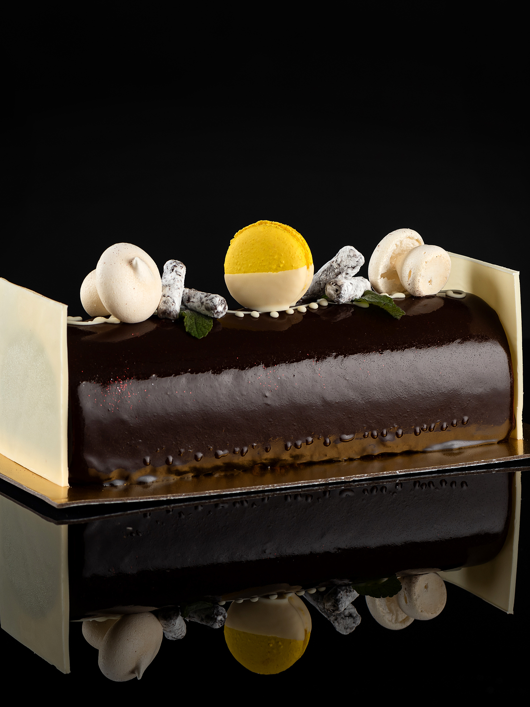 Bûche de nöel  chocolate 1