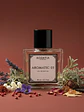 Aromatic 03 - Eau de Parfum (ALEXAN II) - thumbnail 2