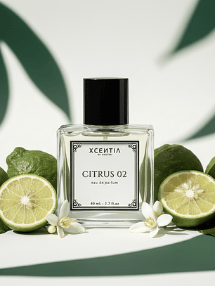 Citrus 02 - Eau de Parfum (BERG 22)