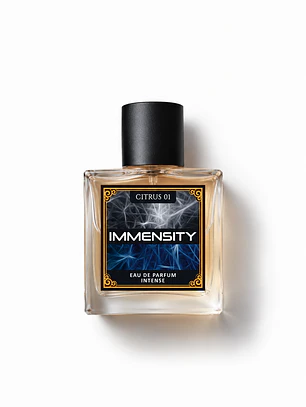 Immensity (L'Immensité)