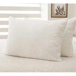 Set Almohada Microfibra Premium 50x70 cm Masel