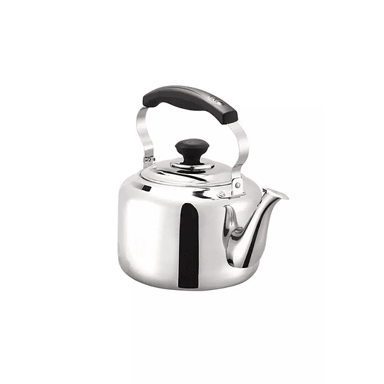 Tetera Acero Inoxidable 4 Litros Armonica Vitta 2
