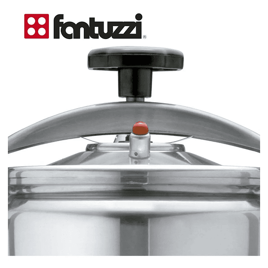Olla A Presión Fantuzzi Comprezzo 8 Litros Color Gris 5