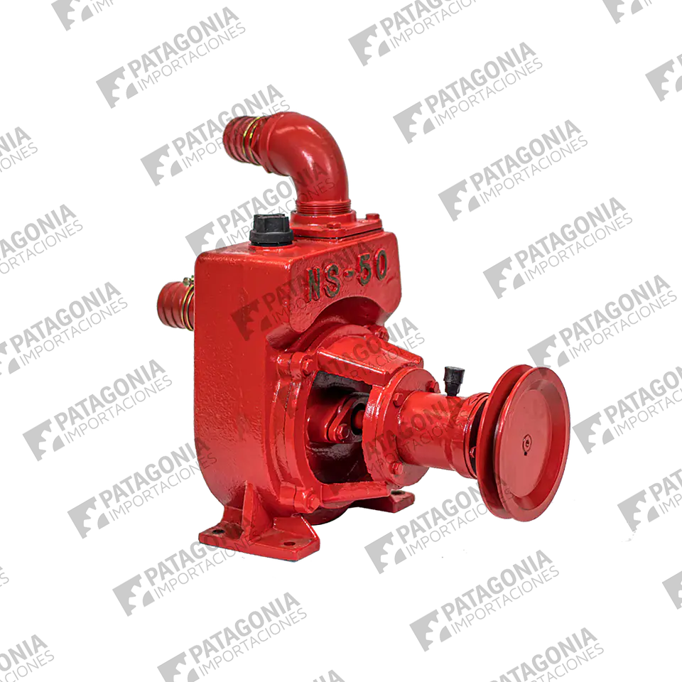 Bomba Centrífuga Autocebante NS-50 1