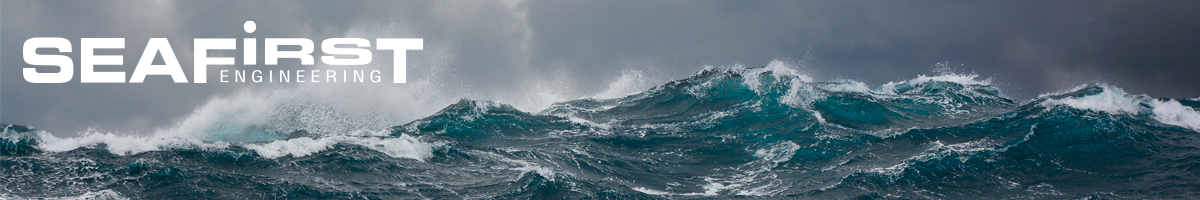 Gobiernos Hidráulicos Seafirst