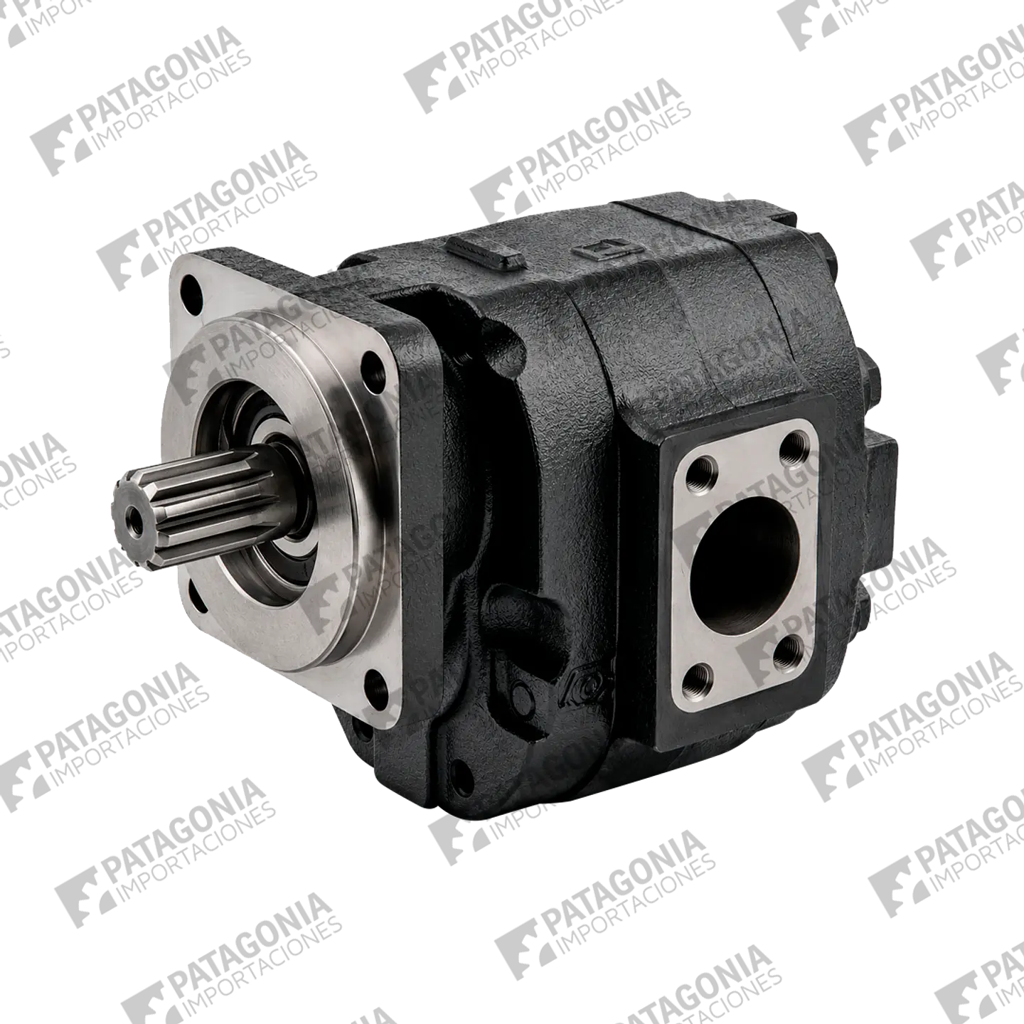 Motor Hidráulico de Engranajes M76A878BE0L30-07 (Serie M76) 1