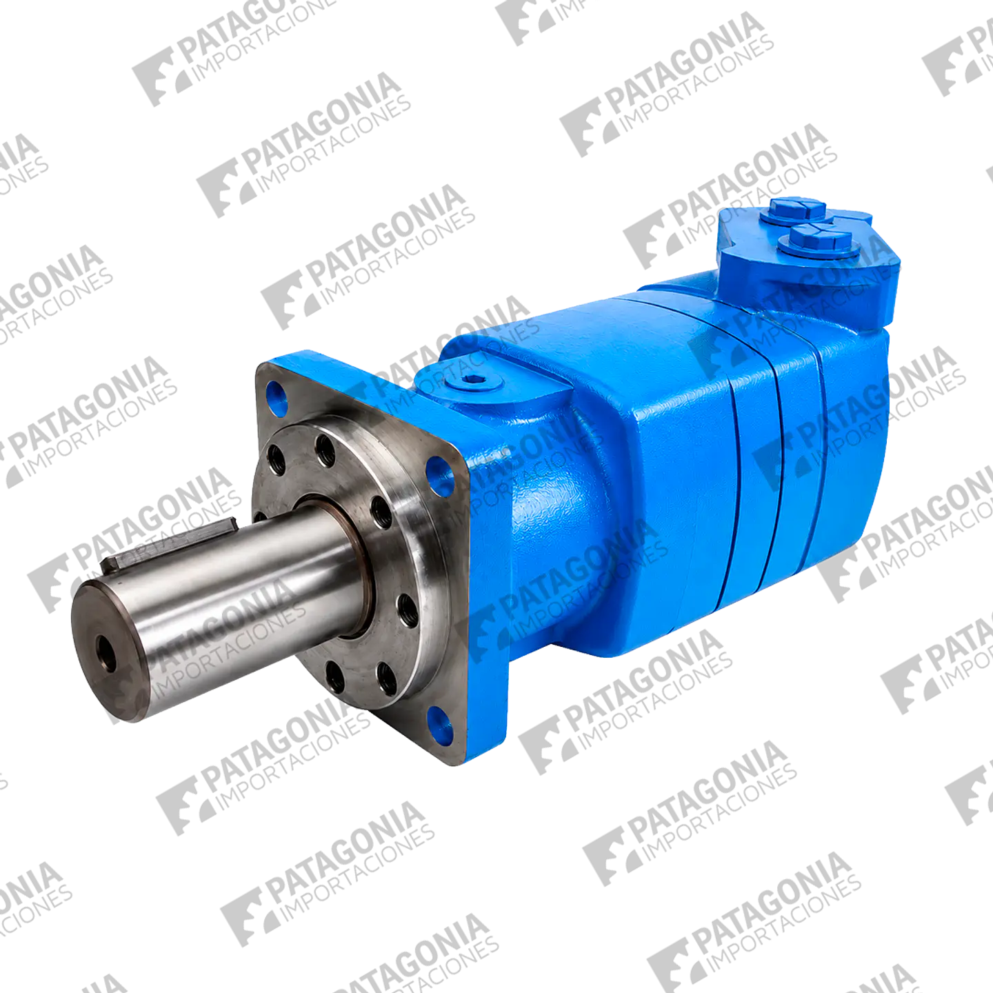 Motor Hidráulico Char-Lynn 119-1031 Serie 10.000 1