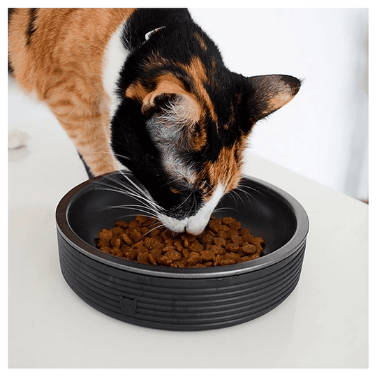 Duo Bowl Terracota Cat