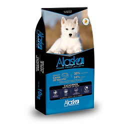 Premium Cachorro 10Kg