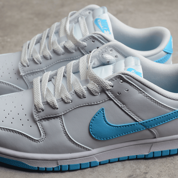 Dunk Low Bone Blue 5