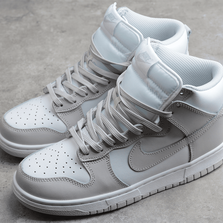 Dunk High Silver 5