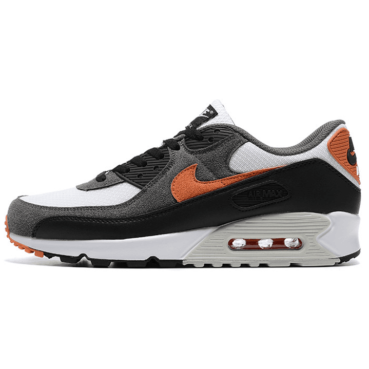 Air Max 90 Starfish 1