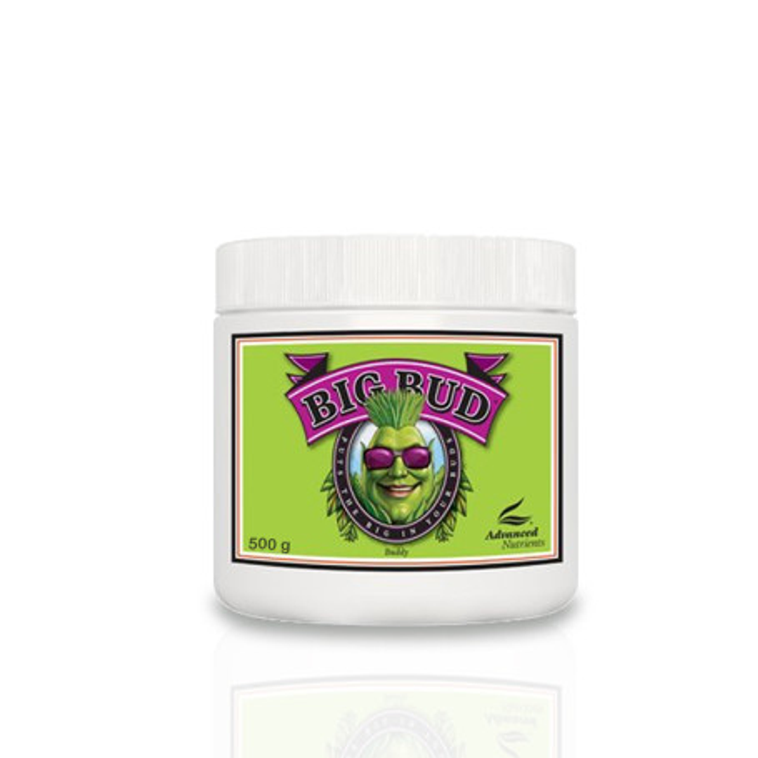 Big Bud Powder 500gr - Advanced Nutrients  1