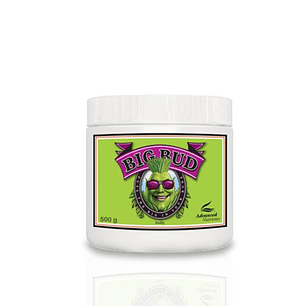 Big Bud Powder 500gr - Advanced Nutrients 