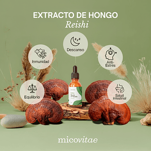 Relax | Extracto de Reishi - Micovitae 