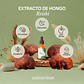 Relax | Extracto de Reishi - Micovitae  - Miniatura 1