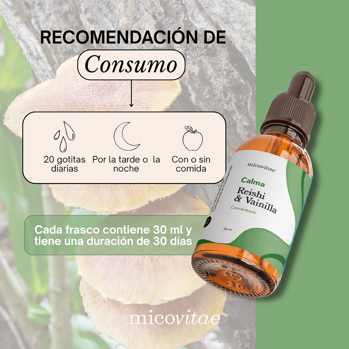 Relax | Extracto de Reishi - Micovitae  2
