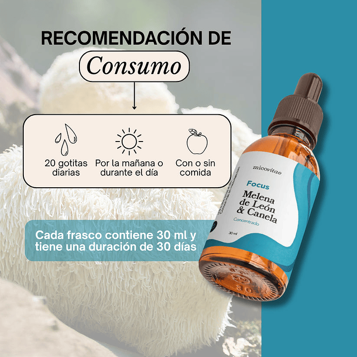 Focus | Extracto de Melena de Leon - Micovitae  2