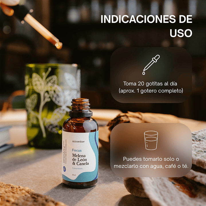 Focus | Extracto de Melena de Leon - Micovitae  4