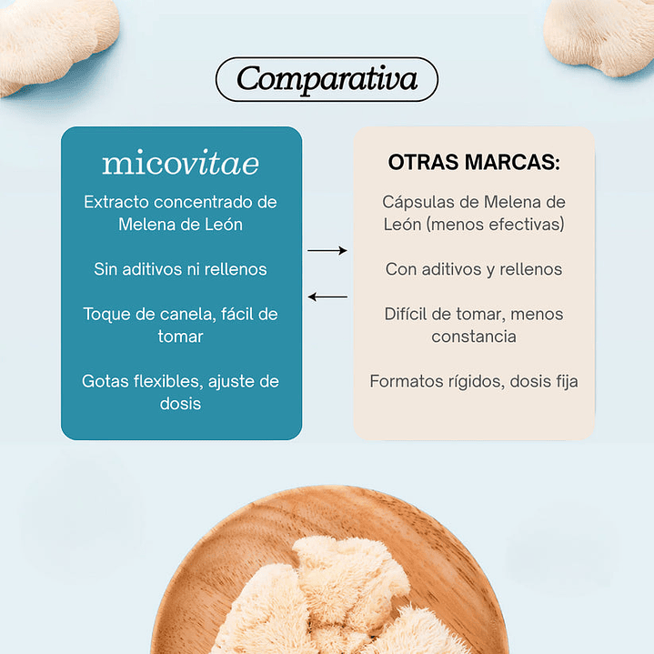 Focus | Extracto de Melena de Leon - Micovitae  5