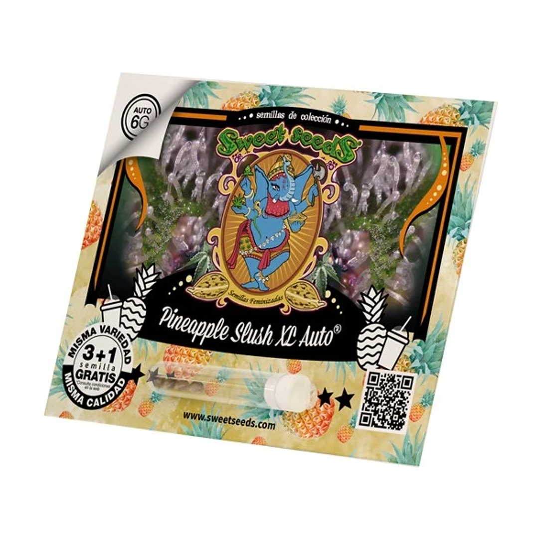 Pineapple Slush XL Auto 3+1 - Sweet Seeds 2