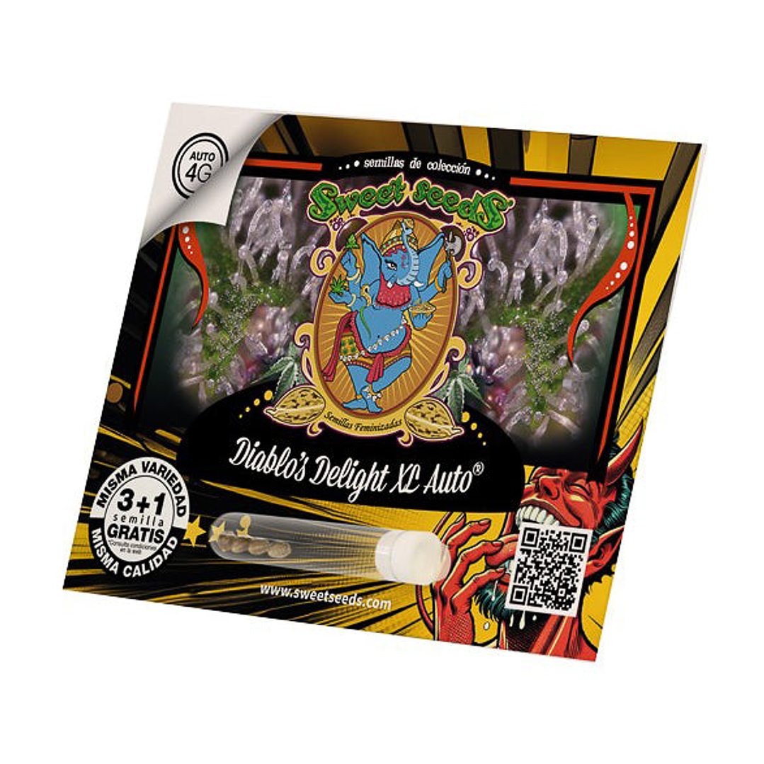 Diablos Delight XL 3+1 - Sweet Seeds 2