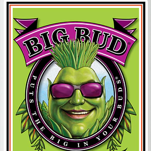 Big Bud 250ml - Advanced Nutrients 