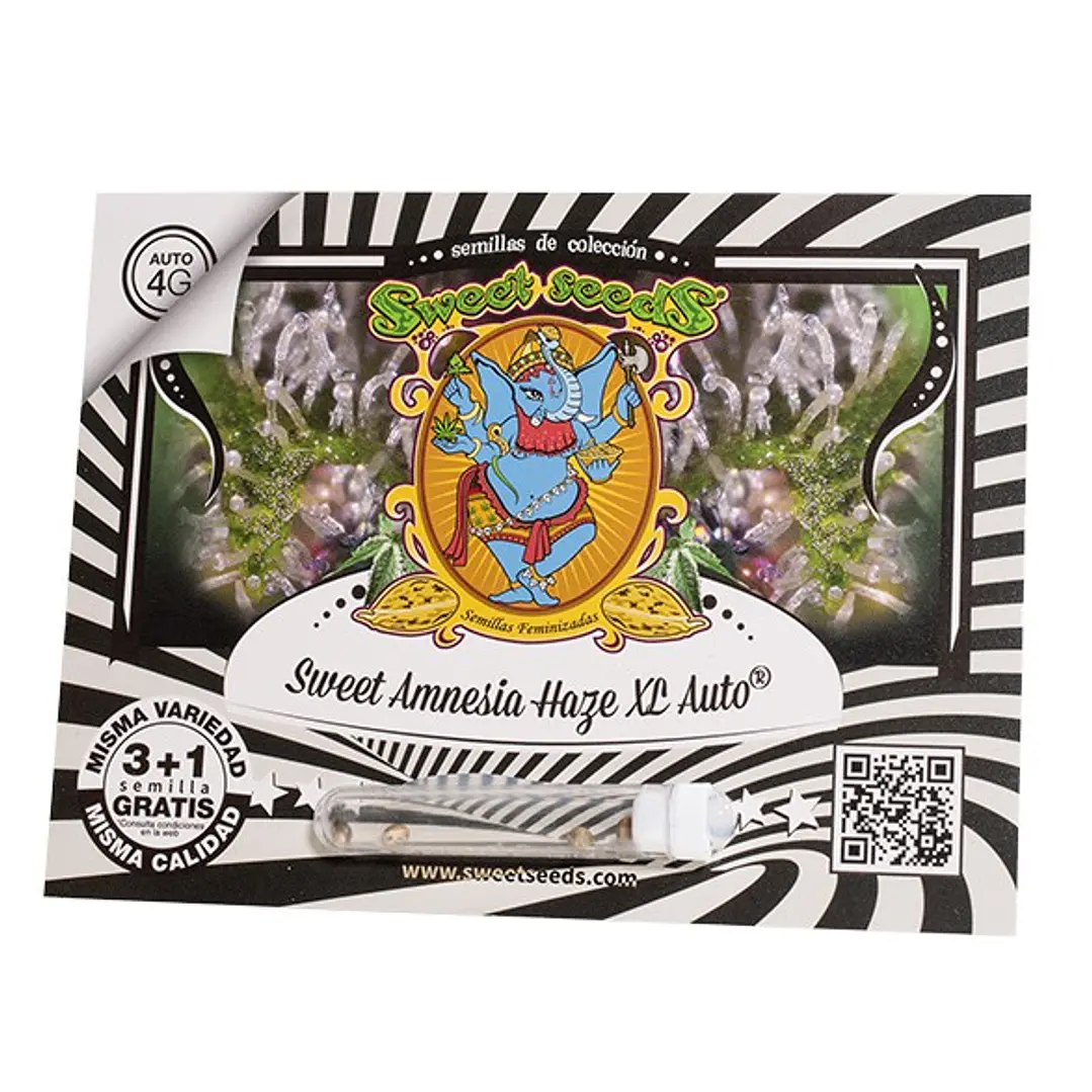 Sweet Amnesia Haze XL Auto - 3+1 - Sweet Seeds  1