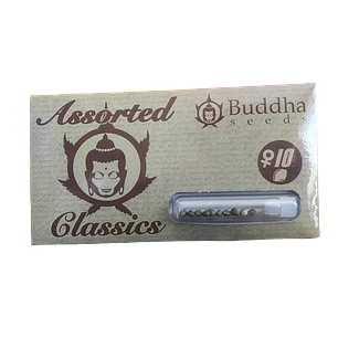 Assorted  Auto Classics - 10u - Buddha Seeds 