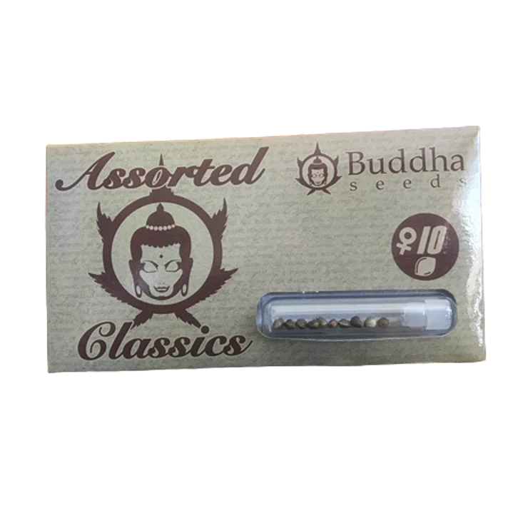 Assorted  Auto Classics - 10u - Buddha Seeds  1