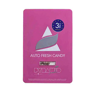 Auto Fresh Candy - 3+1 - Pyramid Seeds