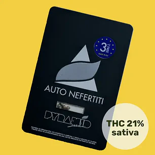 Auto Nefertiti - 3+1 - Pyramid Seeds 