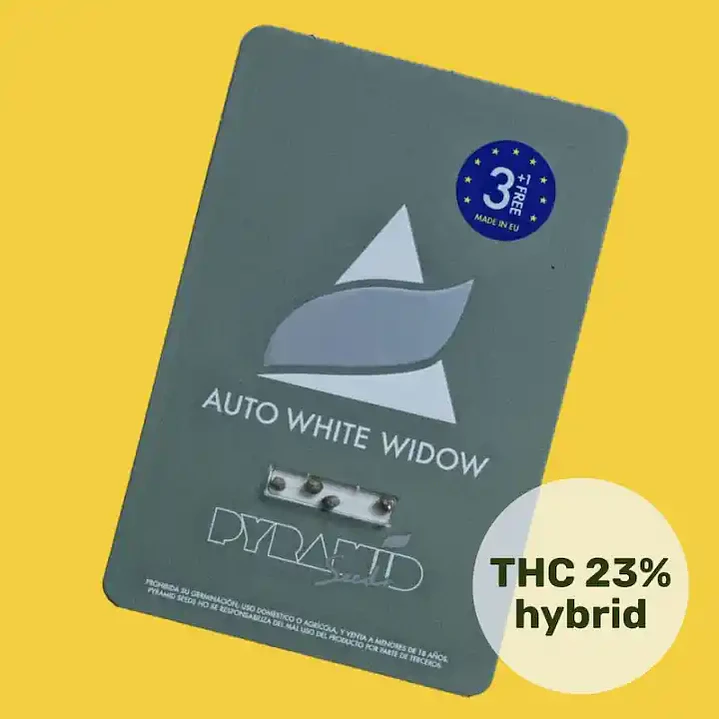Auto White Widow - 3+1 - Pyramid Seeds  1