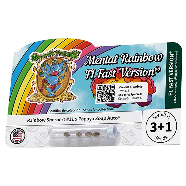 Mental Rainbow F1 - 3+1 - Sweet Seeds  1
