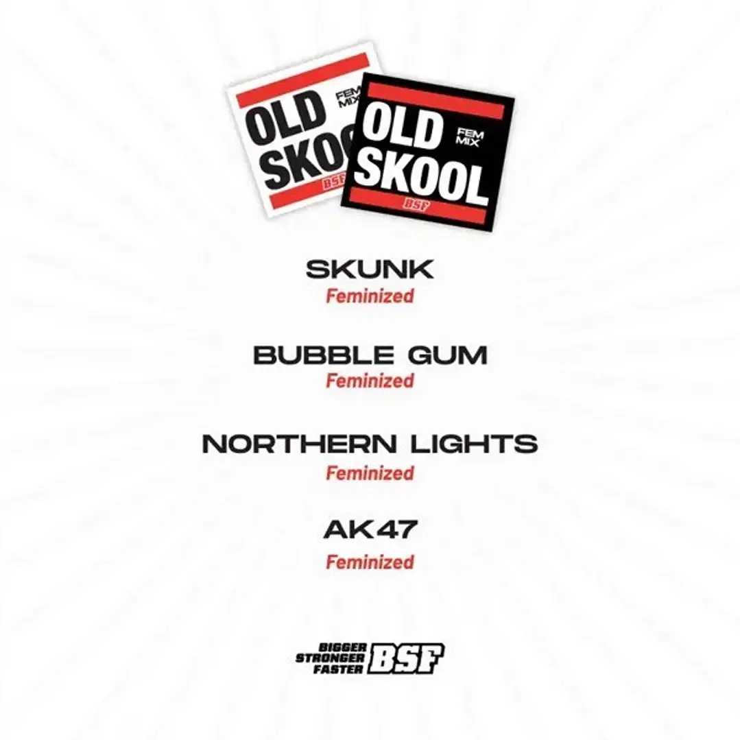OLD Skool Femized Mix - 12u - BSF Seeds 2