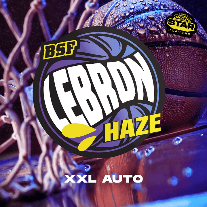 Auto Lebron Haze XXL - 12u - BSF Seeds  2