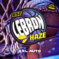 Auto Lebron Haze XXL - 12u - BSF Seeds  - Miniatura 2